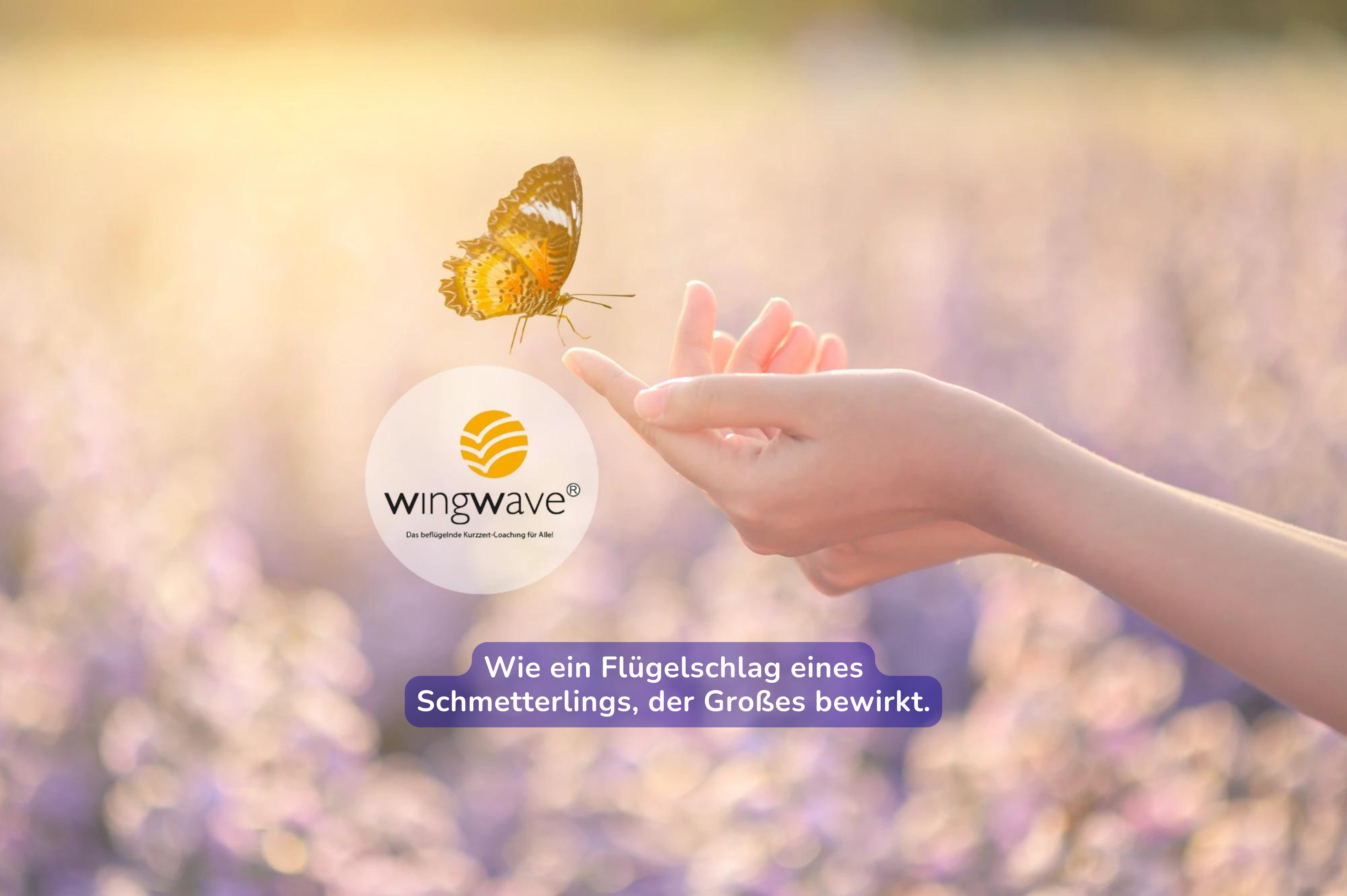Wingwave